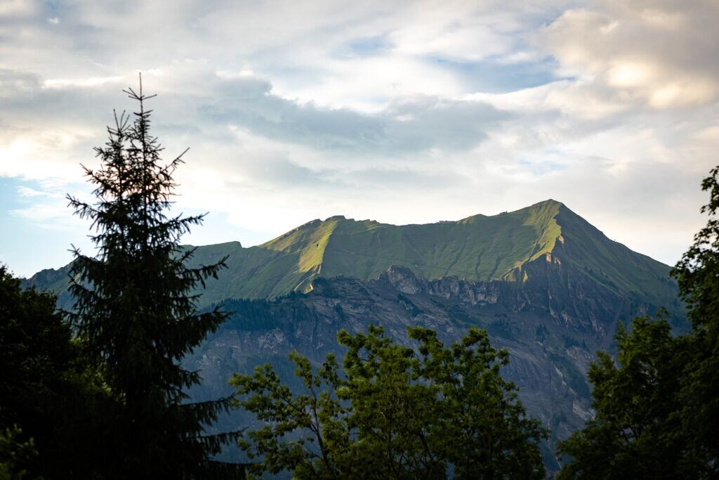 Blick von der Schweibenalp auf die Berge über dem Brienzersee